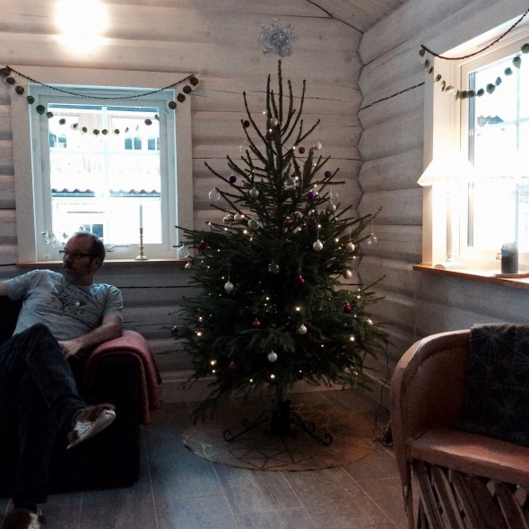 Årets julgran